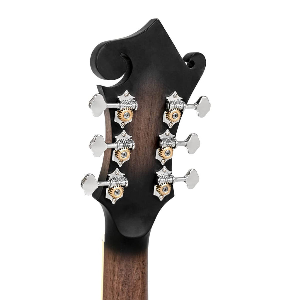 Cutaway Manditar K28637