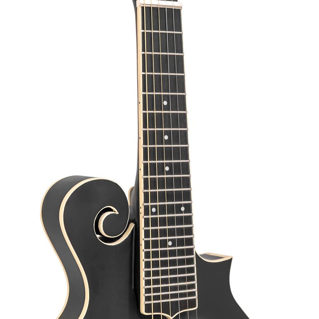 Cutaway Manditar K28637