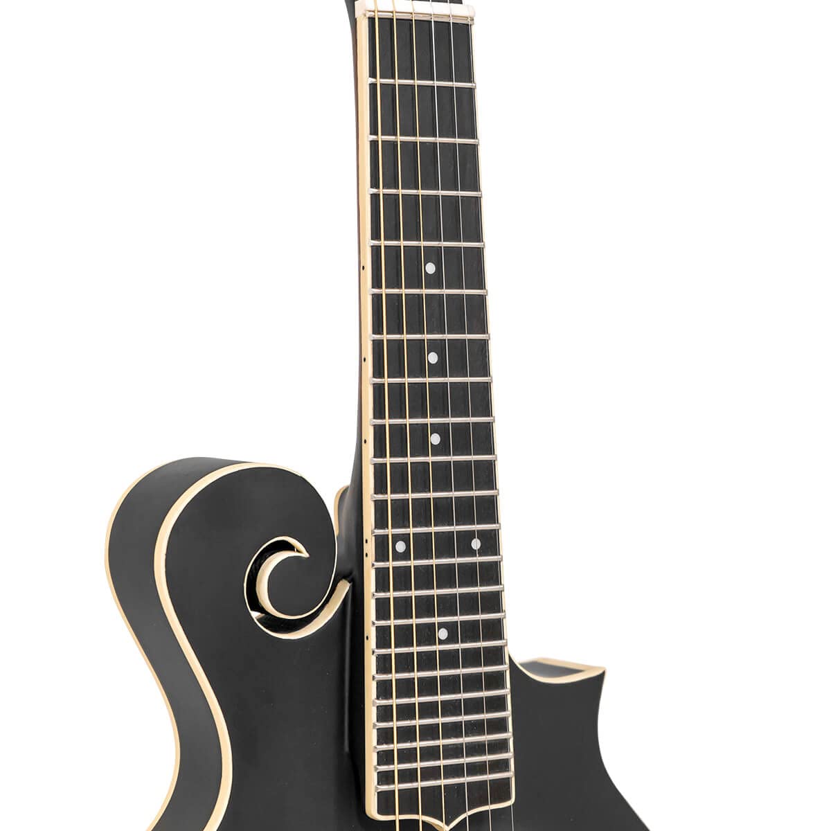 Cutaway Manditar K28637