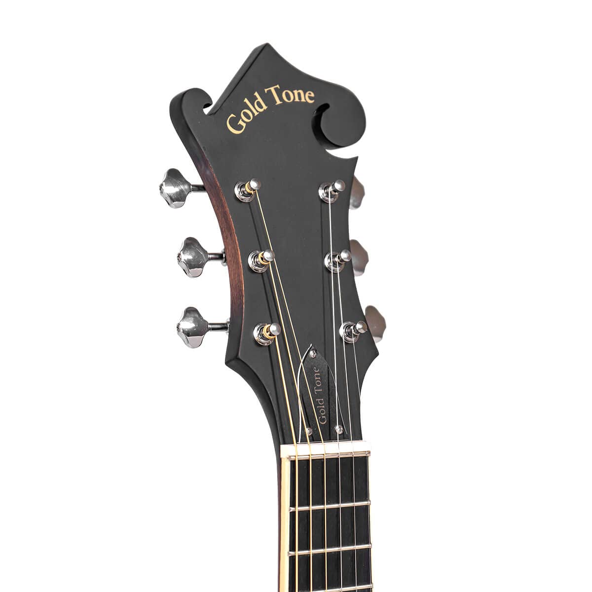 Cutaway Manditar K28637