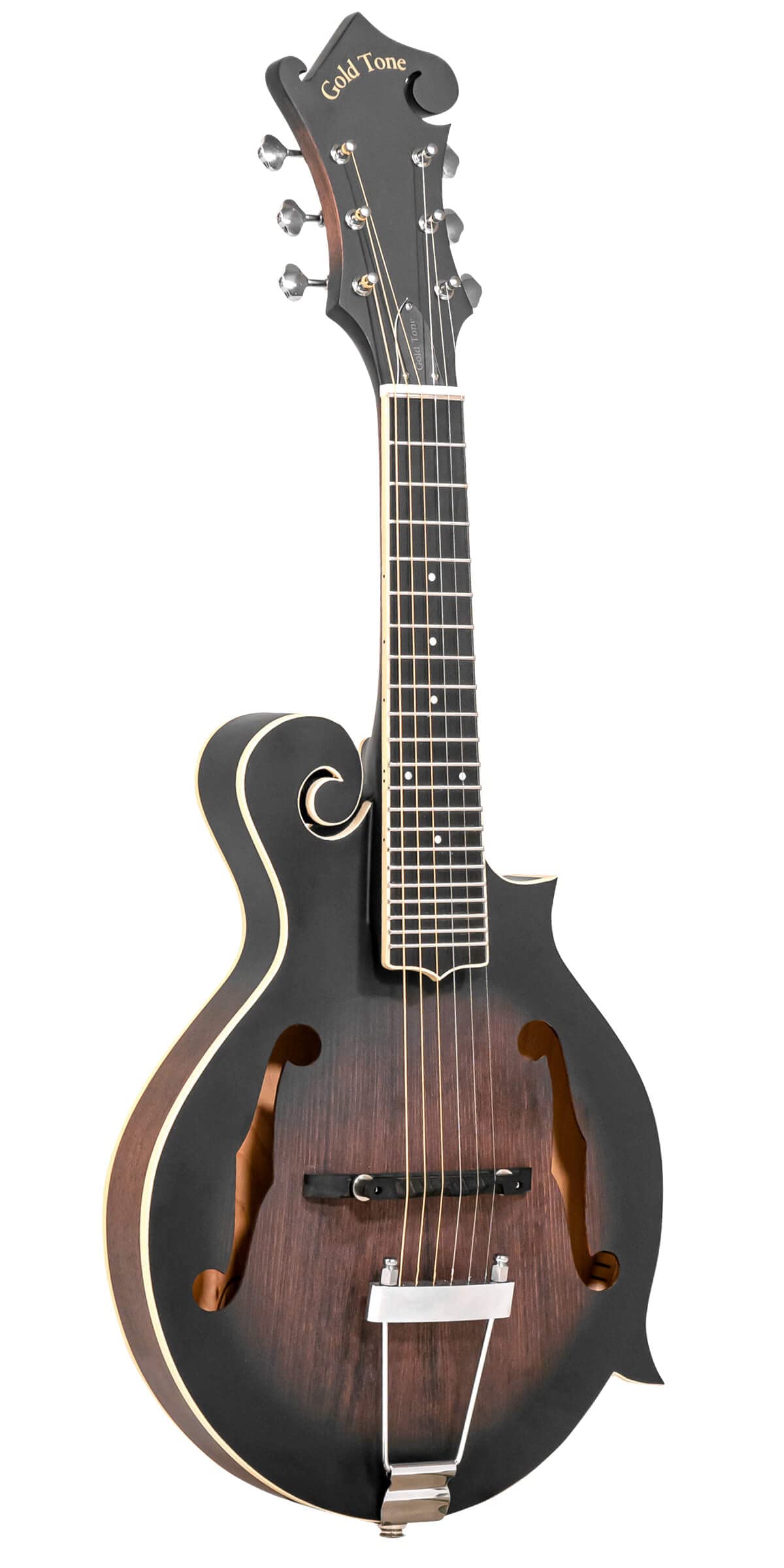 Cutaway Manditar K28637