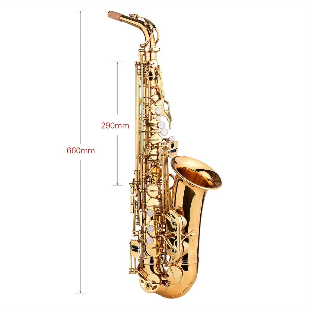 E Flat Alto Saxophone Brass Gold Lacquer V541