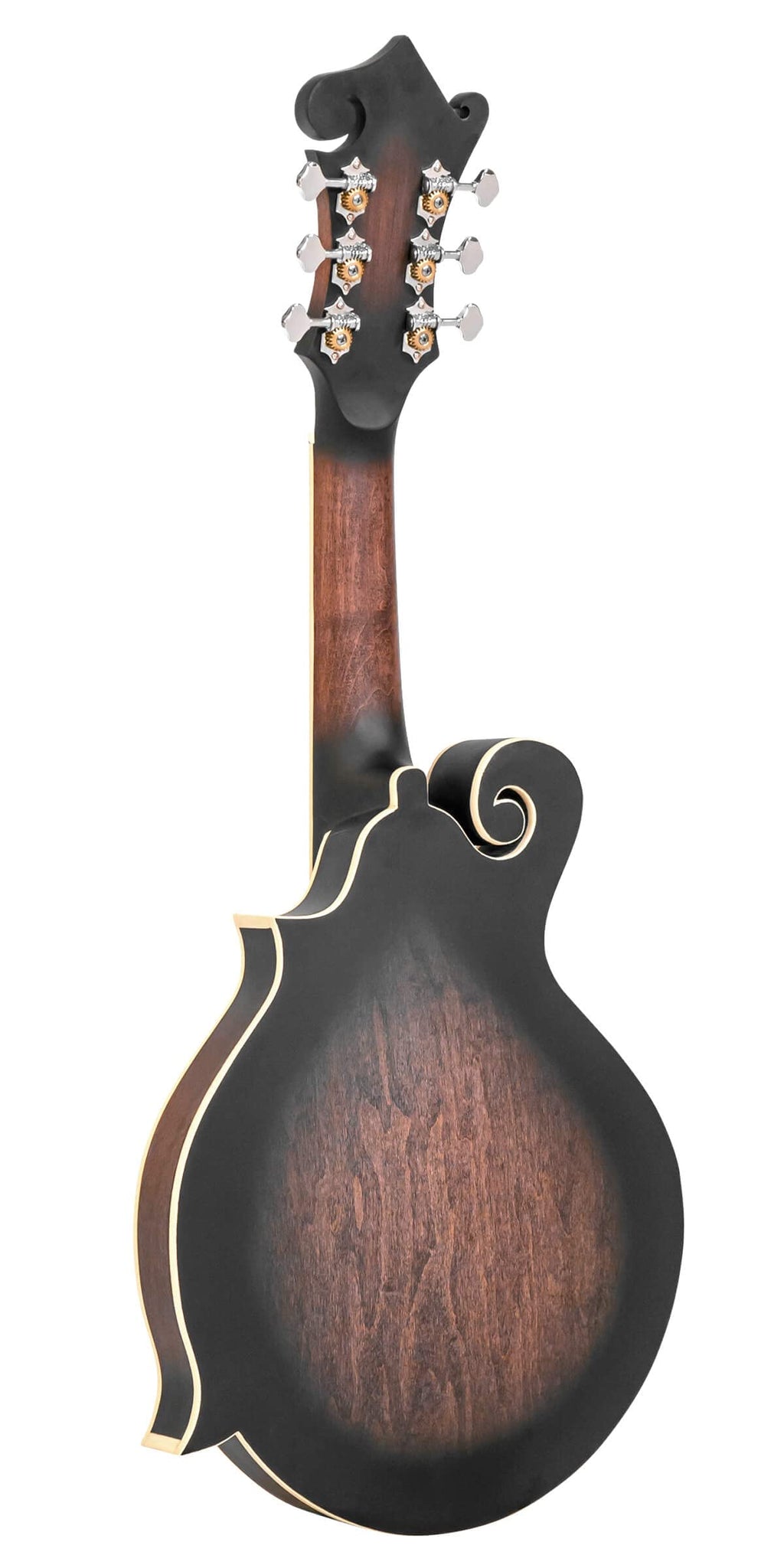 Cutaway Manditar K28637