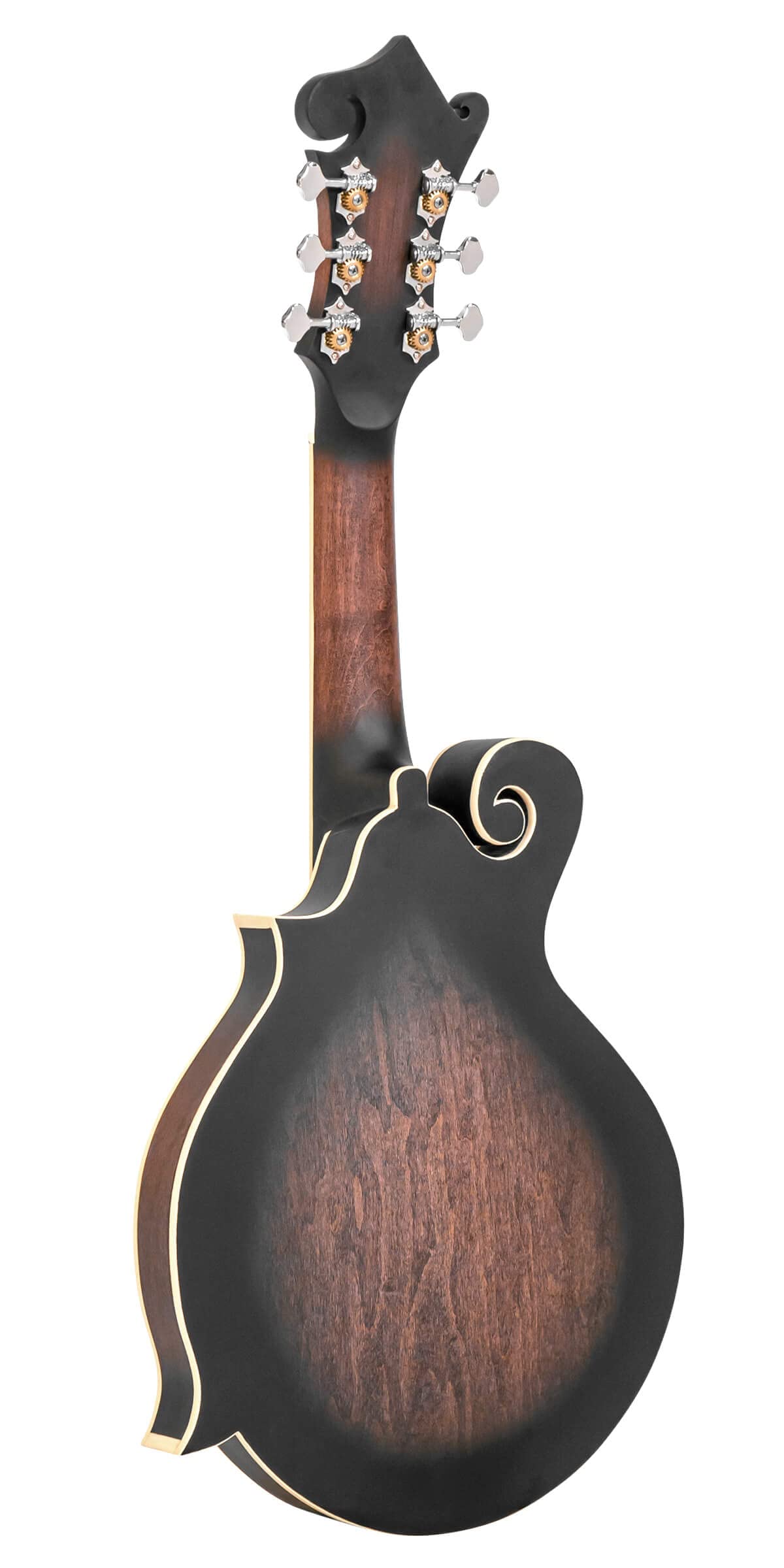 Cutaway Manditar K28637