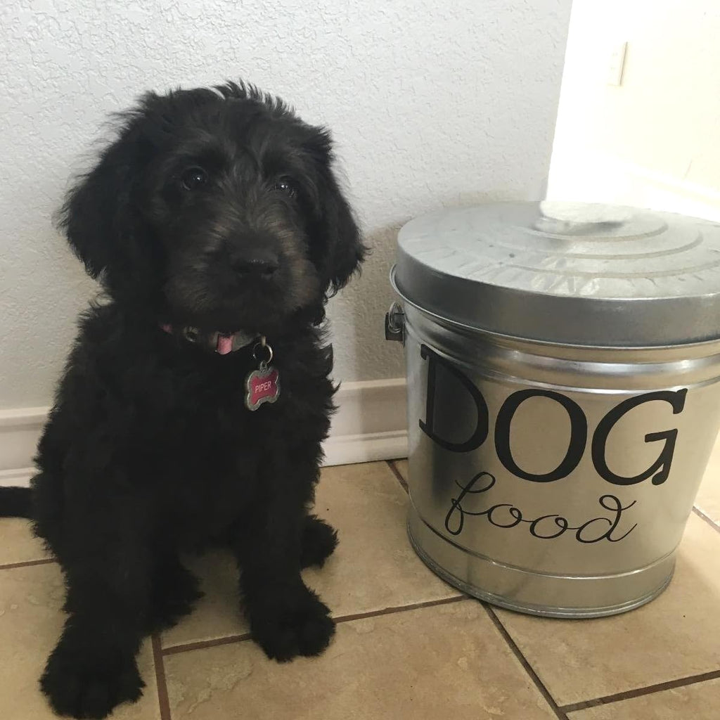 6 Gallon Galvanized Steel Locking Trash Can X5666