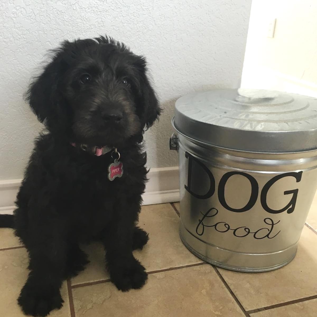 6 Gallon Galvanized Steel Locking Trash Can X5666