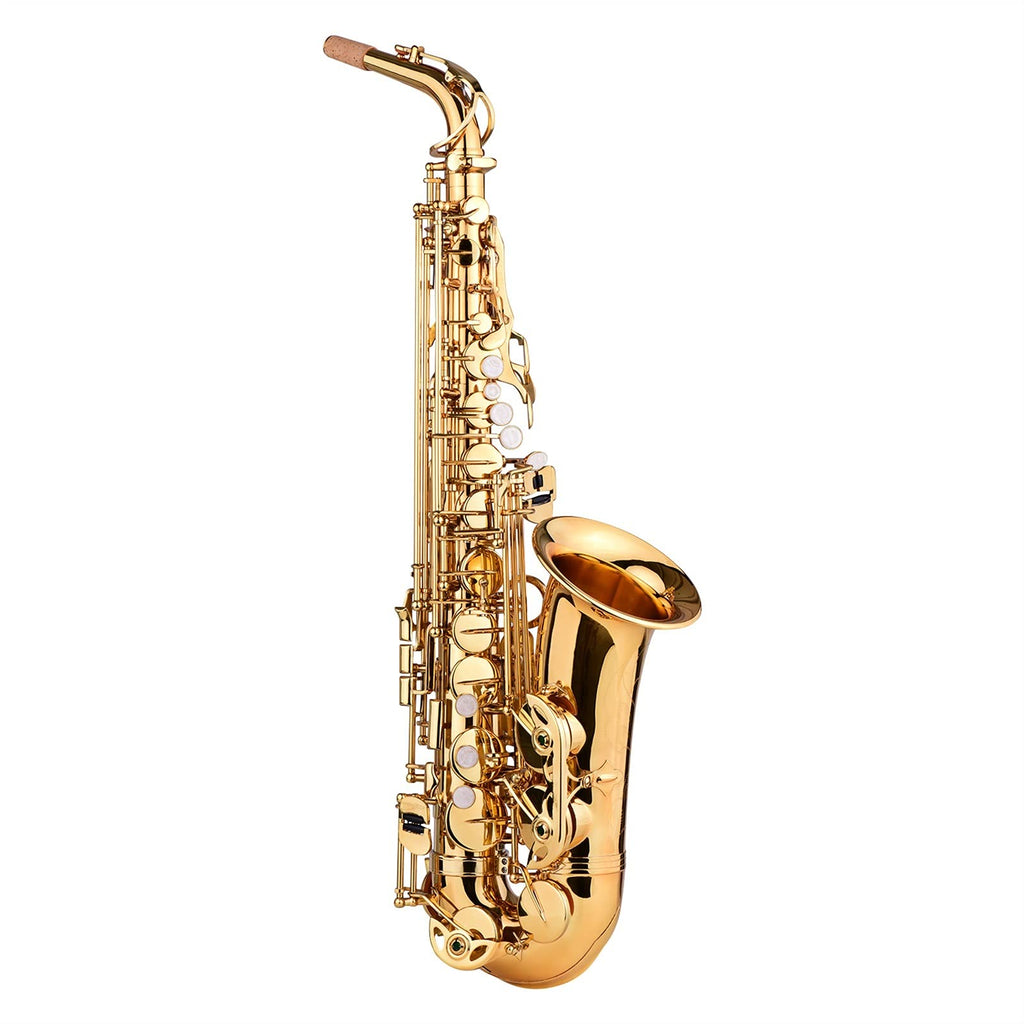 E Flat Alto Saxophone Brass Gold Lacquer V541