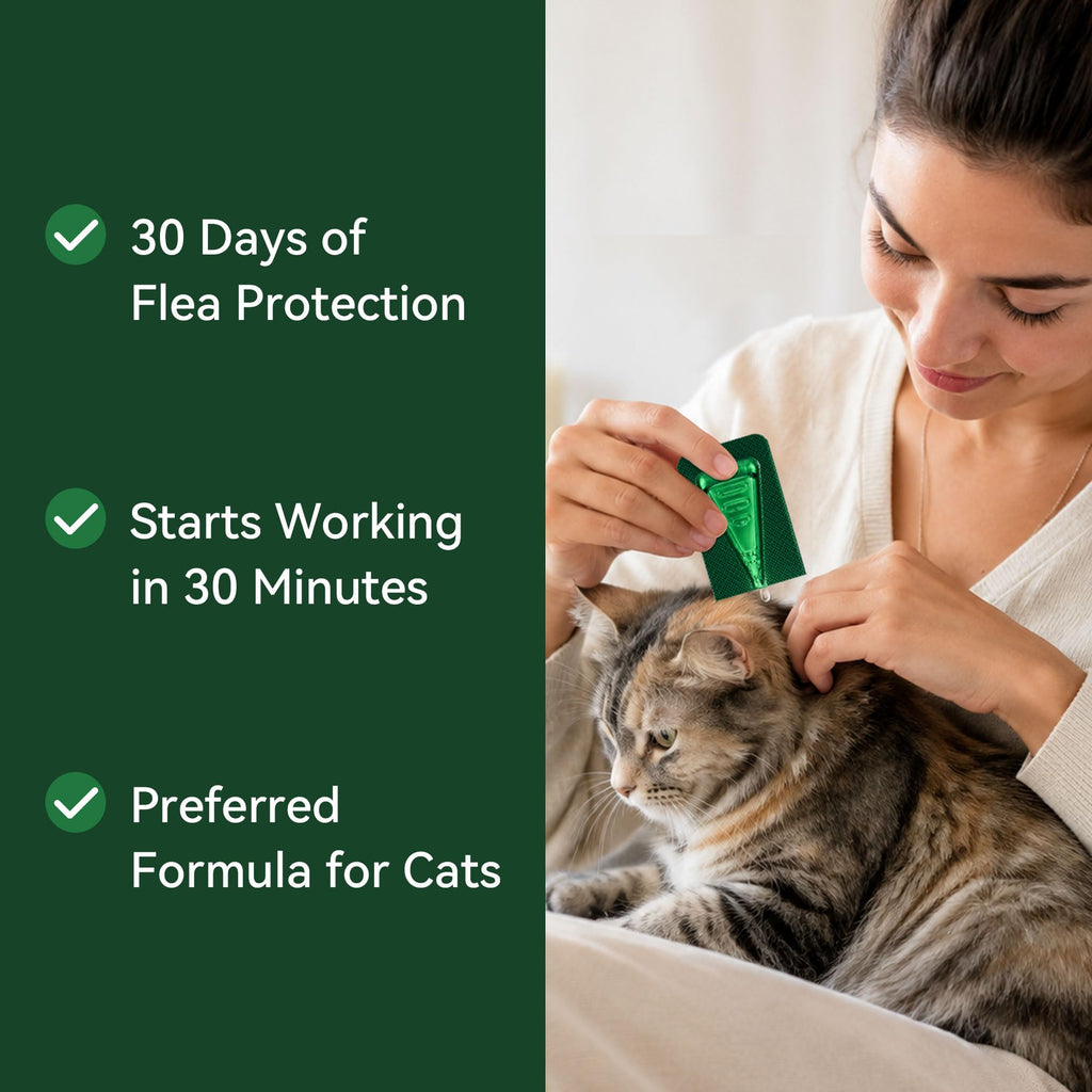 Cat Flea and Tick Treatment 6-Month Supply V2528