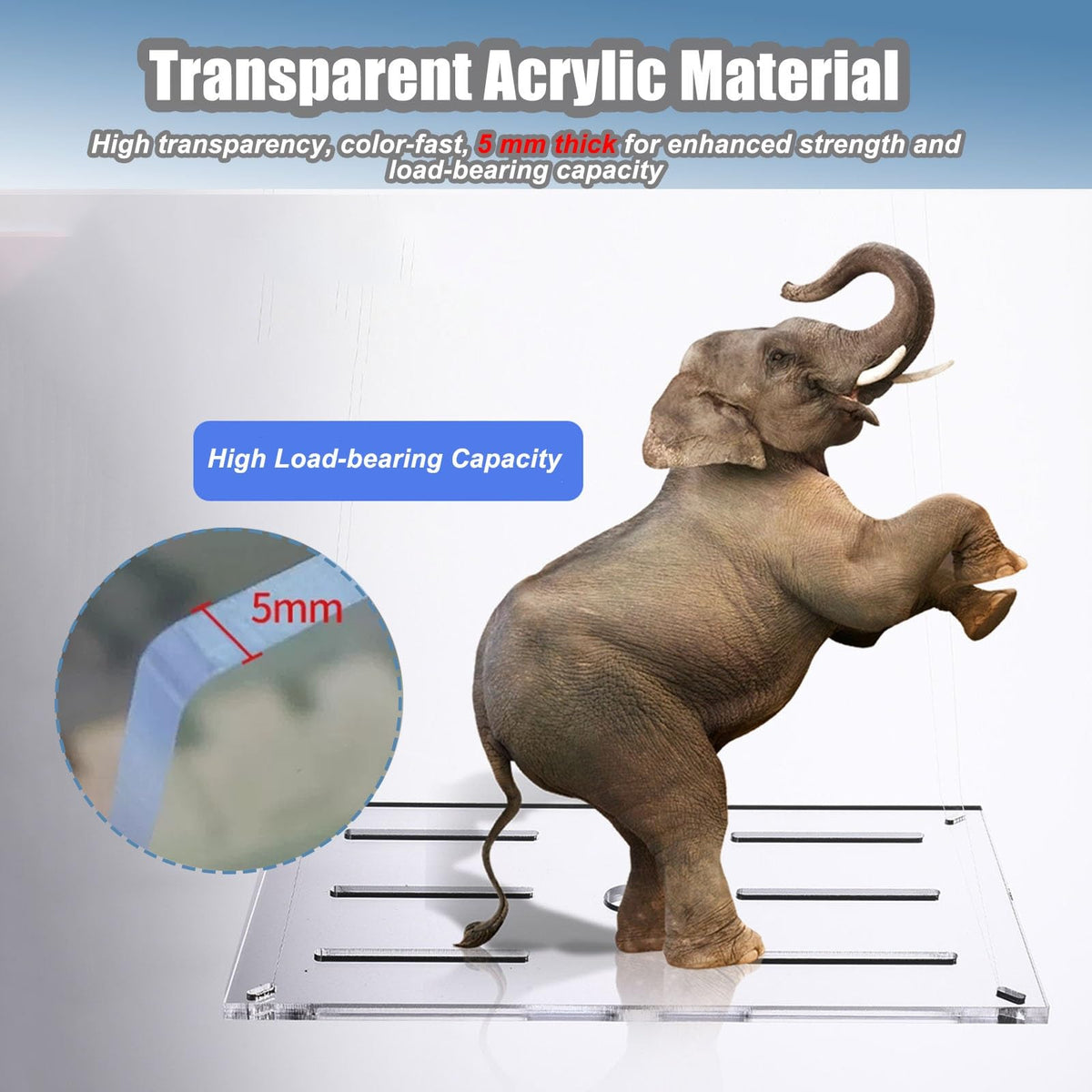 Clear Acrylic Aquarium Lid for 10-55 Gallon Tanks J245829