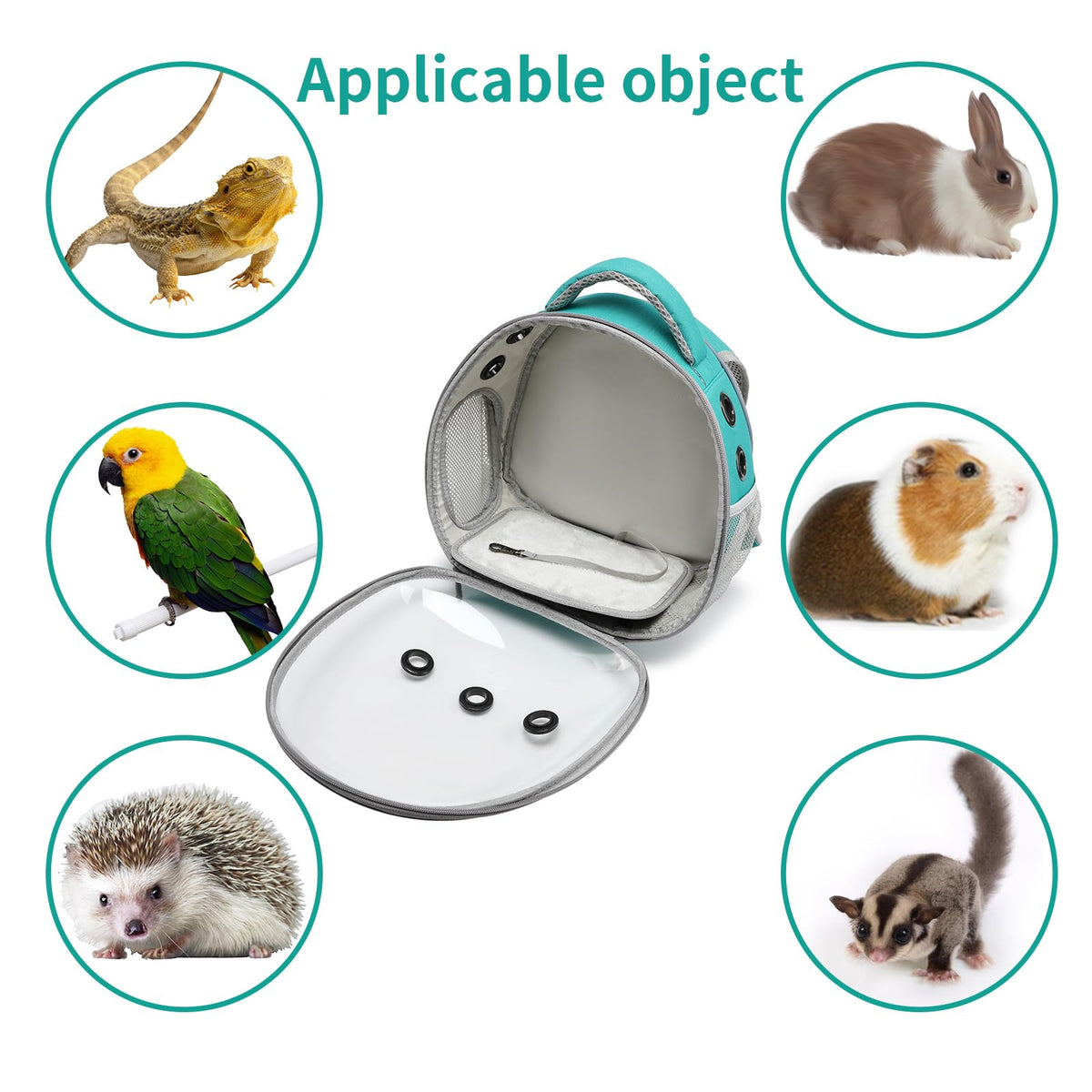 Portable Pet Backpack Carrier (Green) Z985569