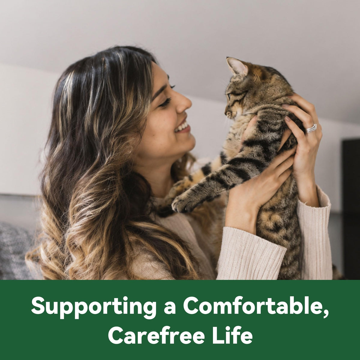 Cat Flea and Tick Treatment 6-Month Supply V2528