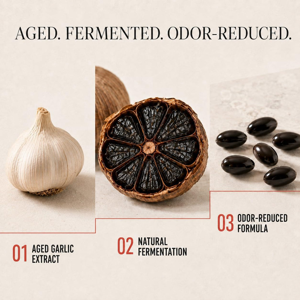 Aged Garlic Extract & Fermented Black Garlic Extract Softgels L5132