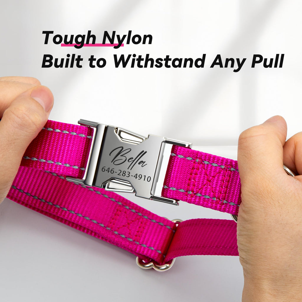 Reflective Dog Collar with Engraved ID Tag V750687