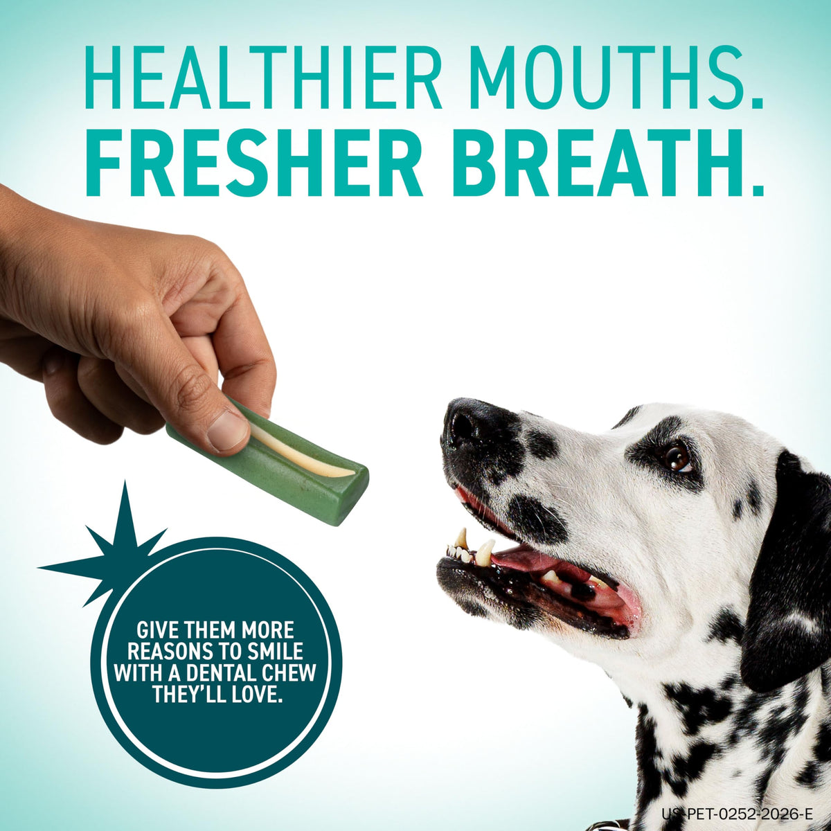 Dental Chews for Dogs 30 Count V113