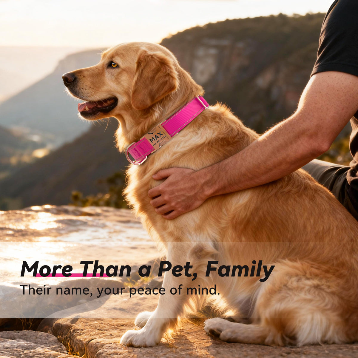 Reflective Dog Collar with Engraved ID Tag V750687