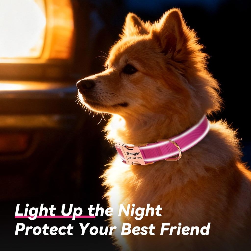 Reflective Dog Collar with Engraved ID Tag V750687
