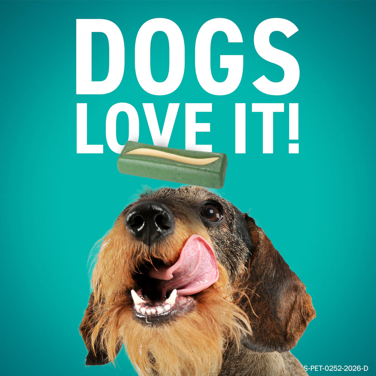 Dental Chews for Dogs 30 Count V113