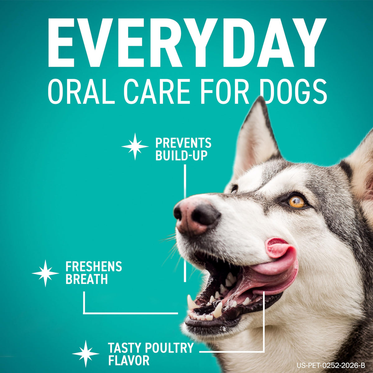Dental Chews for Dogs 30 Count V113