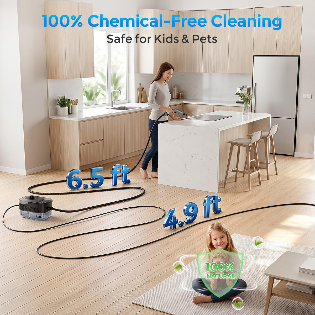 Portable 1800W Handheld Steam Cleaner V624652