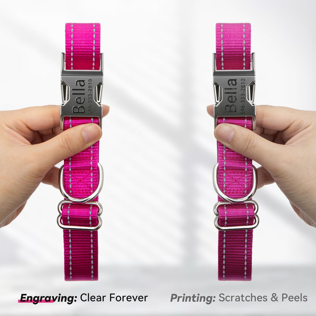 Reflective Dog Collar with Engraved ID Tag V750687