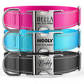 Reflective Dog Collar with Engraved ID Tag V750687