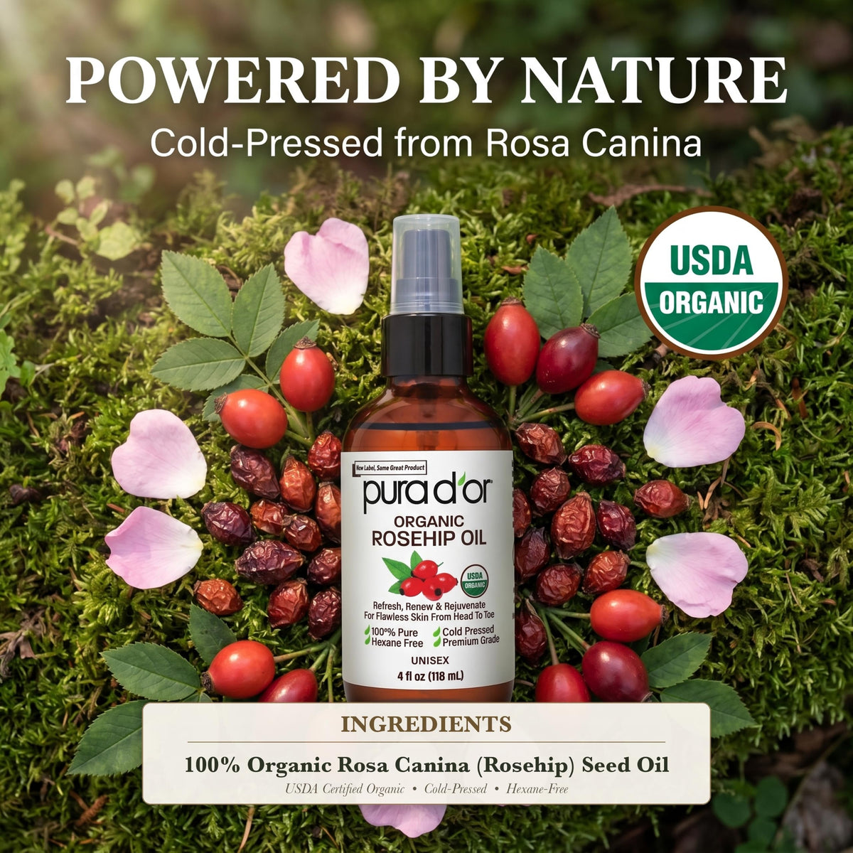 Organic Rosehip Seed Oil 4 oz M61747