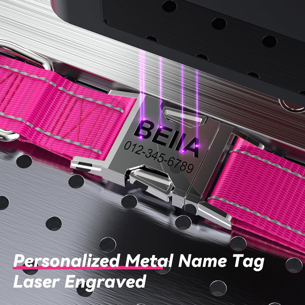 Reflective Dog Collar with Engraved ID Tag V750687
